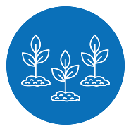 Strategic Communication