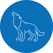 Strategic Communication