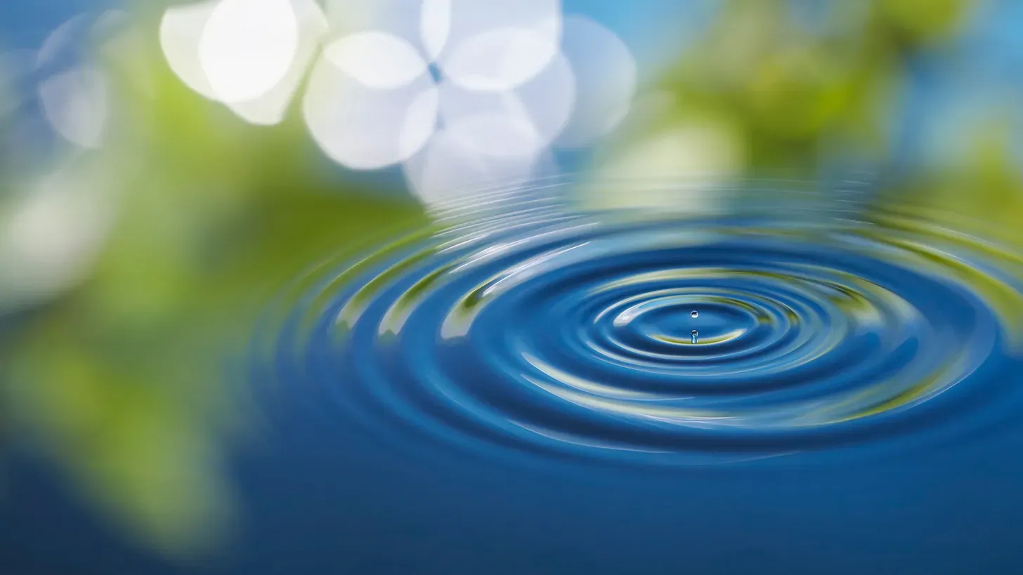 Ripple Across Time Awareness