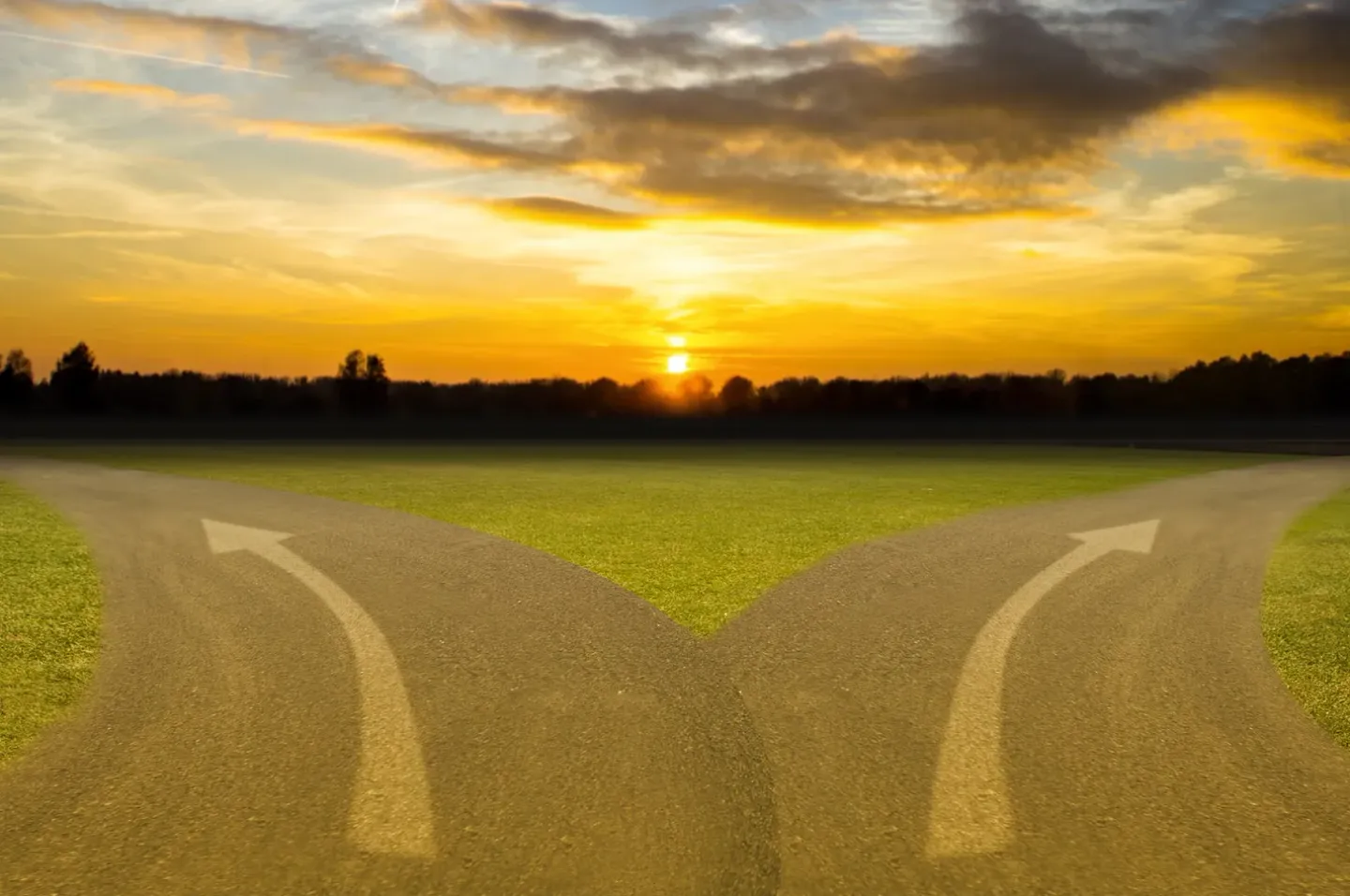 🛣️ The Process Redux: The Learning Journey Takes the High Road